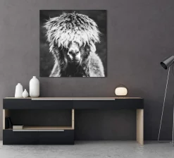 Online Acrylglasbild ALPAKA HIPPIE Acrylbilder|Glasbilder