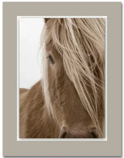 Clearance Acrylglasbild ALUDIBOND Acrylbilder|Metallbilder