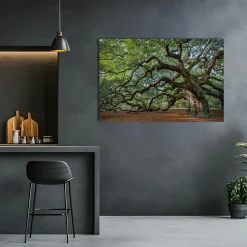 Best Acrylglasbild FASZINATION BAUM Acrylbilder|Glasbilder