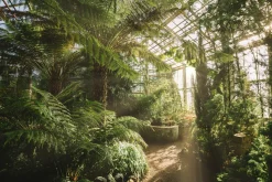 Sale Acrylglasbild GEWÄCHSHAUS Acrylbilder|Glasbilder