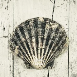 New Acrylglasbild Living Acrylbilder