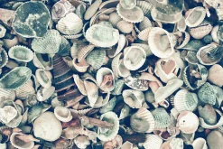 Clearance Acrylglasbild Sylt Acrylbilder