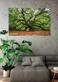 Discount Acrylglasbild VERZWEIGTER BAUM Acrylbilder|Glasbilder