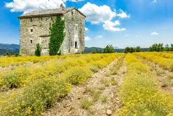 Best Akustikbild BAUERNHAUS Akustikbilder