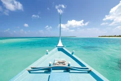 Online Akustikbild BOOT Akustikbilder