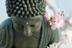 New Akustikbild BUDDHA Akustikbilder