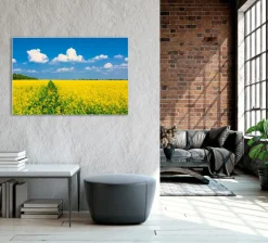 Sale Akustikbild GELBES RAPSFELD Akustikbilder