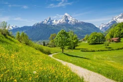 Hot Akustikbild GRÜNES TAL Akustikbilder