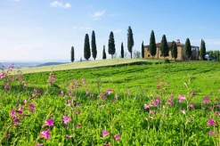 Sale Akustikbild HAUS TOSKANA Akustikbilder