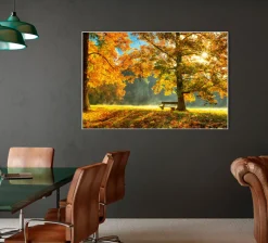 Discount Akustikbild HERBSTWALD Akustikbilder