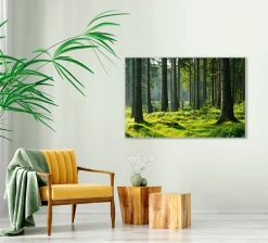 Akustikbild HOCHWALD Akustikbilder