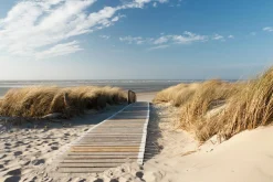 New Akustikbild HOLZWEG ZUM MEER 1 Akustikbilder