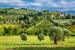 Sale Akustikbild LANDSCHAFT Akustikbilder