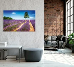 Online Akustikbild LAVENDELFELD 2 Akustikbilder