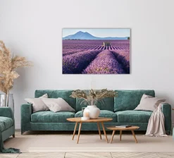 Online Akustikbild LAVENDELFELD 8 Akustikbilder