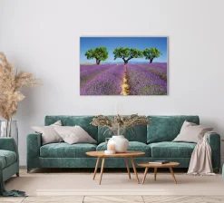 Hot Akustikbild LAVENDELFELD 6 Akustikbilder