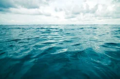 Sale Akustikbild MEER Akustikbilder