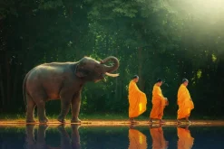 Hot Akustikbild MÖNCHWANDERUNG Akustikbilder