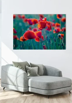 Best Akustikbild MOHNFELD Akustikbilder