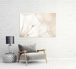 Akustikbild PUSTEBLUME 2 Akustikbilder