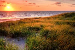 Outlet Akustikbild SONNENUNTERGANG 2 Akustikbilder