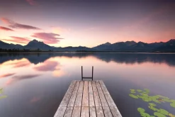 Sale Akustikbild STEG Akustikbilder