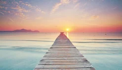 Sale Akustikbild STEG Akustikbilder