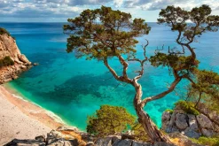 Sale Akustikbild STEILKÜSTE Akustikbilder