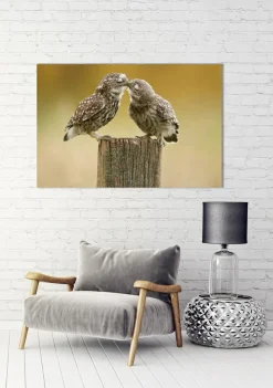 Clearance Akustikbild VERLIEBTE KÄUZCHEN Akustikbilder