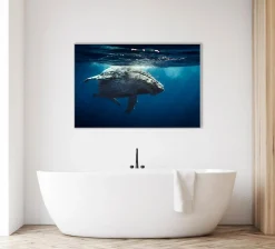 New Akustikbild WAL Akustikbilder