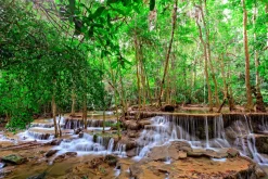 Sale Akustikbild WASSERFALL 1 Akustikbilder