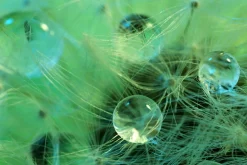 Online Akustikbild WASSERPERLEN Akustikbilder