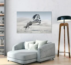 Akustikbild WILDPFERD Akustikbilder