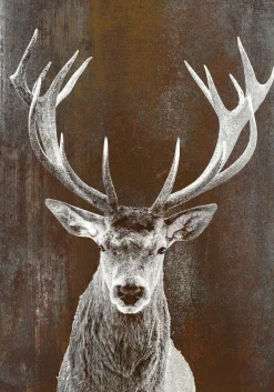 New Aludibondbild BROWNDEER II Metallbilder