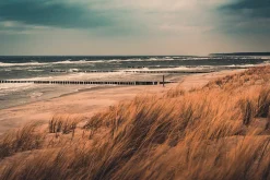 Online Aludibondbild COASTLINE Metallbilder