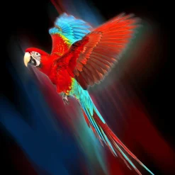 Best Aludibondbild SPECIAL RED Metallbilder