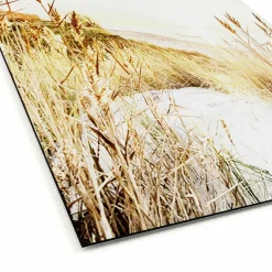 Clearance Aludibondbild WILDERSTRAND Metallbilder