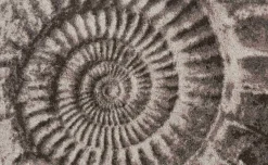 Outlet Badematte AMMONA Badematten|Badematten