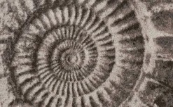 Clearance Badematte AMMONA Badematten|Badematten