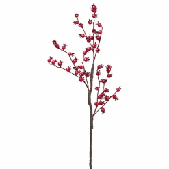 Best Beerenzweig Santa'S Village