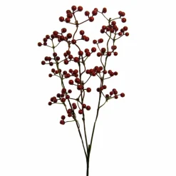 Online Beerenzweig Santa'S Village