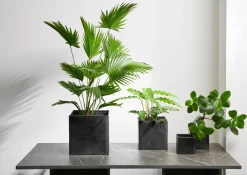 Discount Übertopf QUADRO Pflanz- Und Übertöpfe