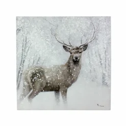 New Bild HIRSCH Bilder