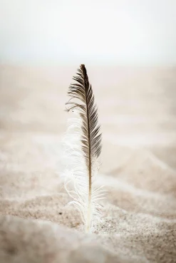 Discount Decopanel FEDER Kunstdrucke|Dekoration