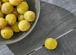 Online Esstisch ACARNA Gartentische|Gartentische