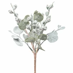 New Eucalyptusbusch mit Früchten Sonstige