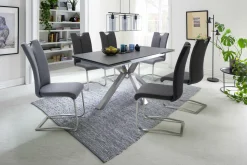 Freischwinger ARTOS Esszimmerstühle|Freischwingerstühle