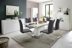 Freischwinger ARTOS Esszimmerstühle|Freischwingerstühle