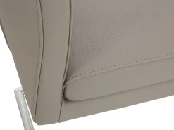 Online Freischwinger NEELE Esszimmerstühle|Freischwingerstühle