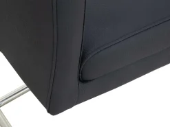 Freischwinger NEELE Esszimmerstühle|Freischwingerstühle